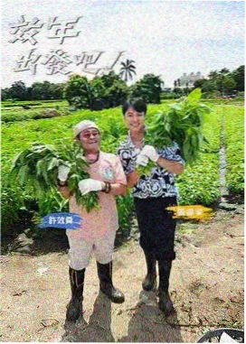 口碑榜第二作品封面