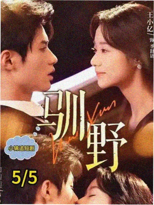 口碑榜第五作品封面